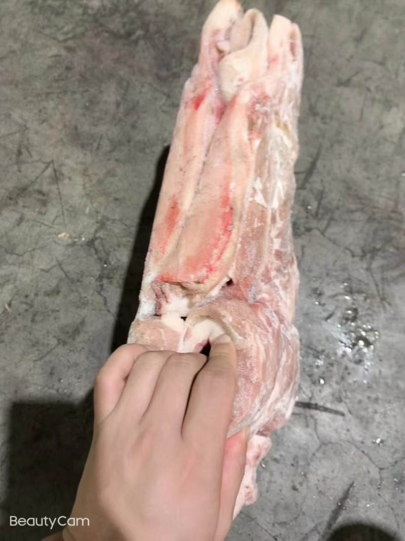 前上肉，前五花