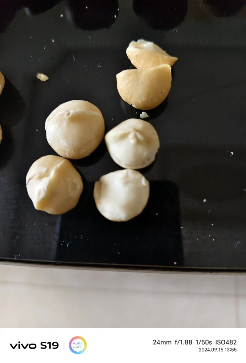 夏威夷坚果，，大量供应