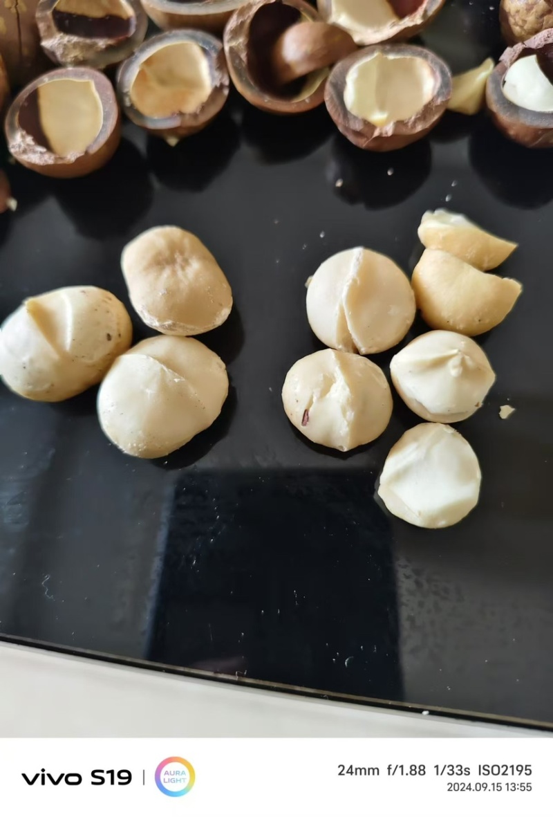 夏威夷坚果，，大量供应
