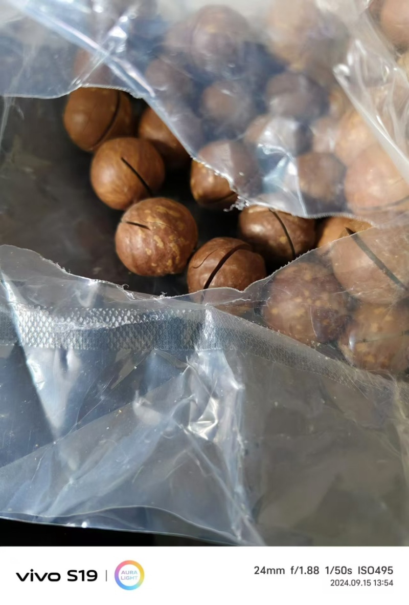 夏威夷坚果，，大量供应