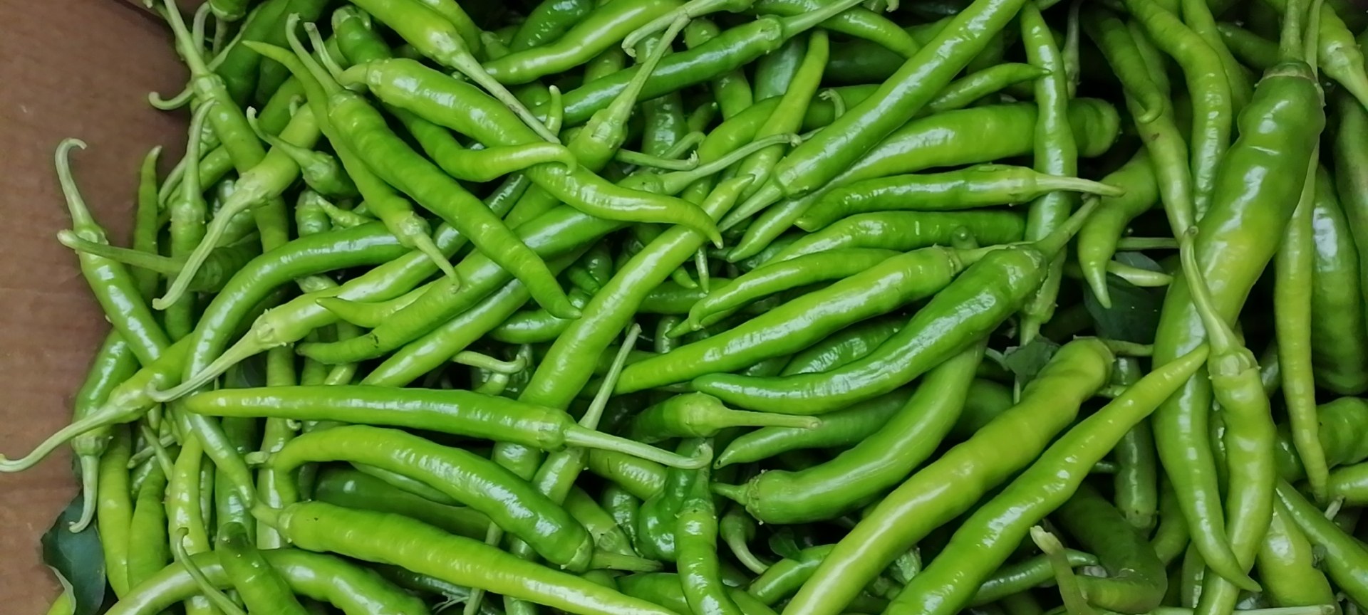 展示杭椒与螺丝椒的外形对比,清晰区分两者在颜色、形状和大小上的差异 杭椒与螺丝椒对比图