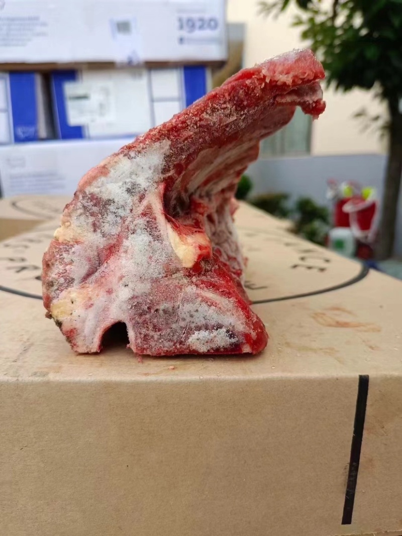 肩胛骨.一手货源.肉满，质量好河北供货