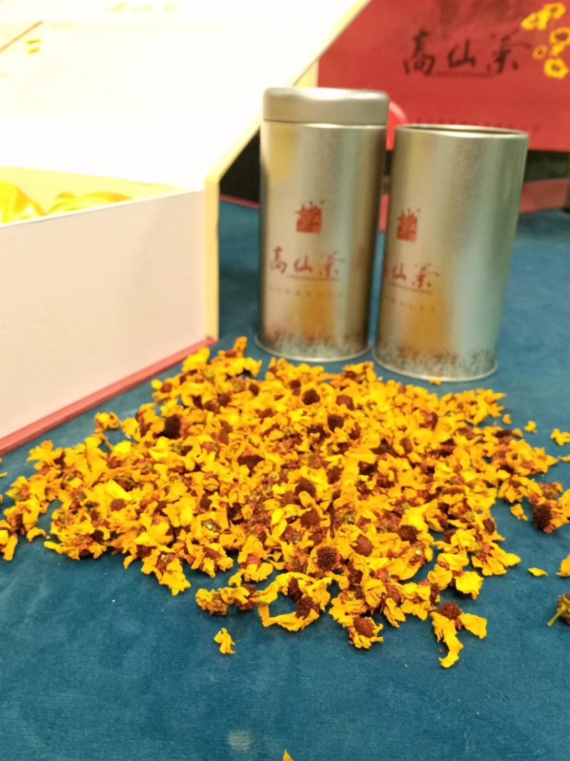 新疆皮山县克里阳雪菊