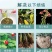 大量元素菌肥水溶肥水溶肥