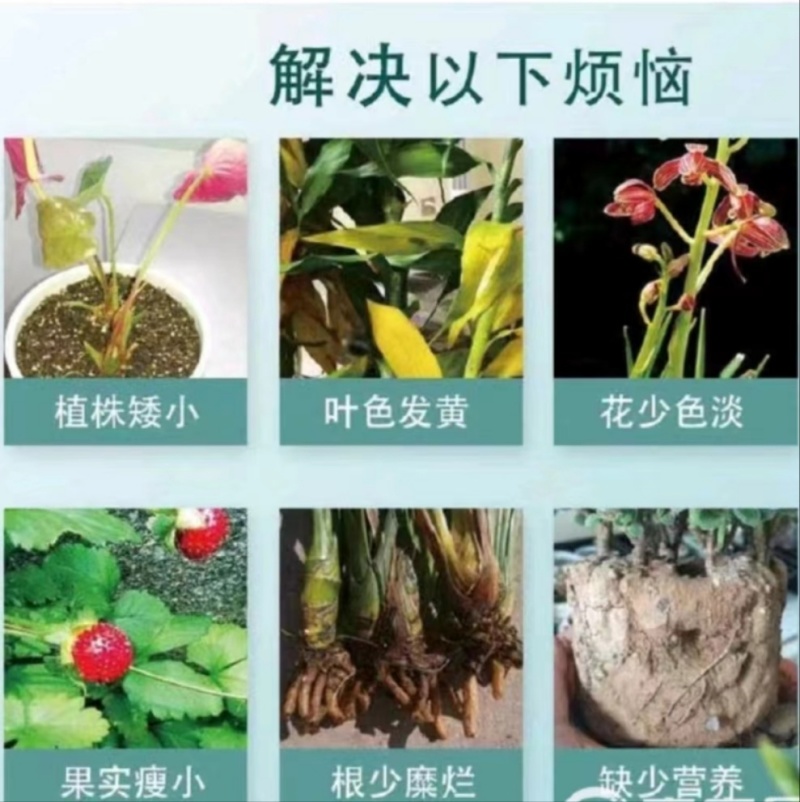 大量元素菌肥水溶肥水溶肥