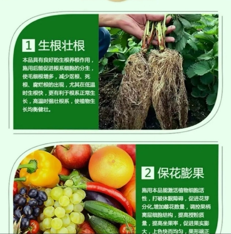 大量元素菌肥水溶肥水溶肥