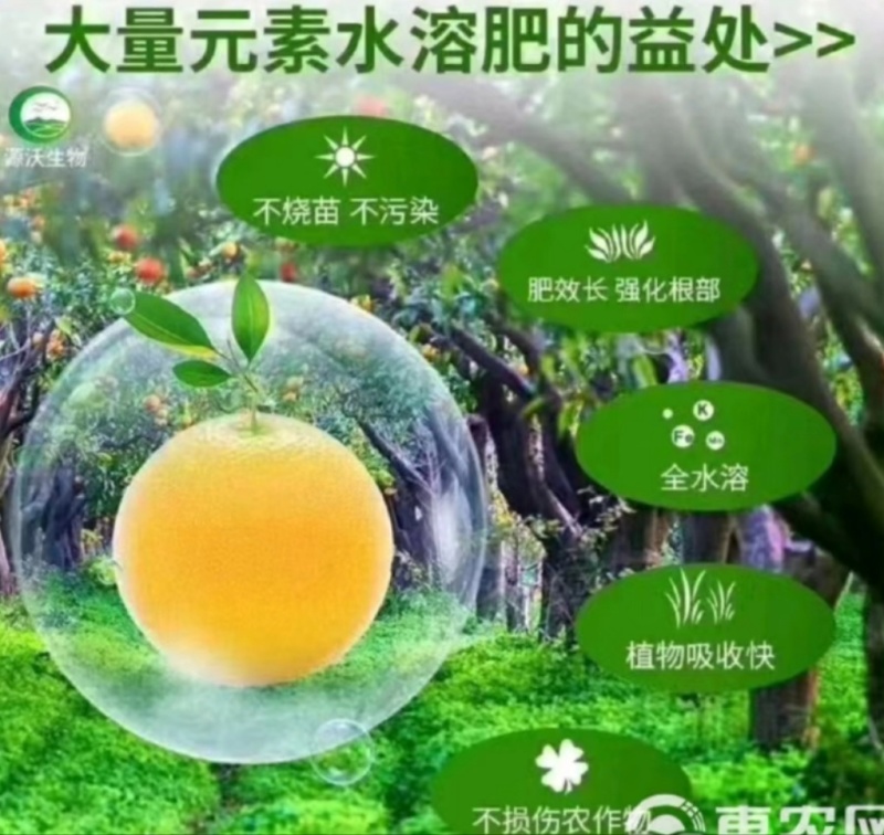 大量元素菌肥水溶肥水溶肥