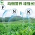 大量元素菌肥水溶肥水溶肥
