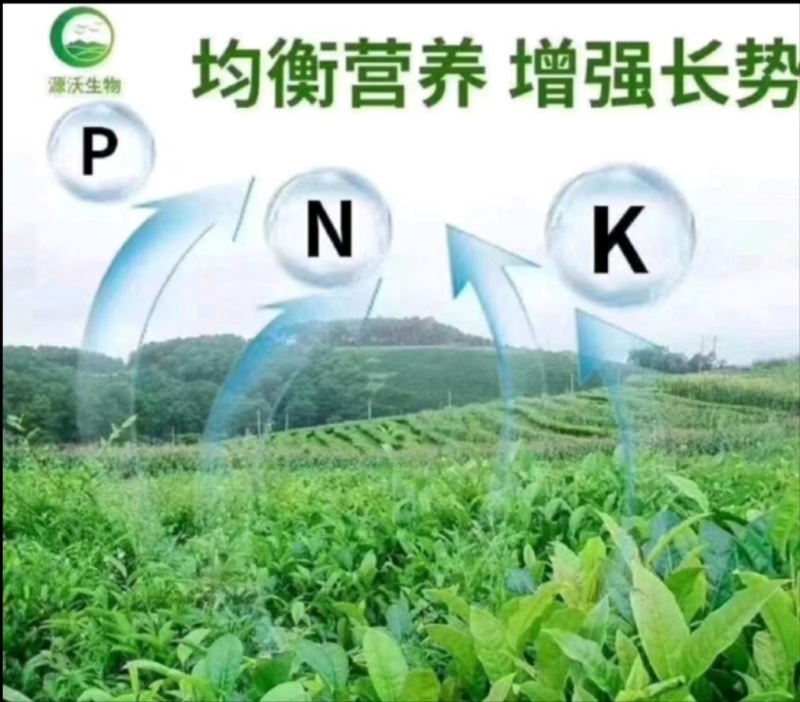 大量元素菌肥水溶肥水溶肥
