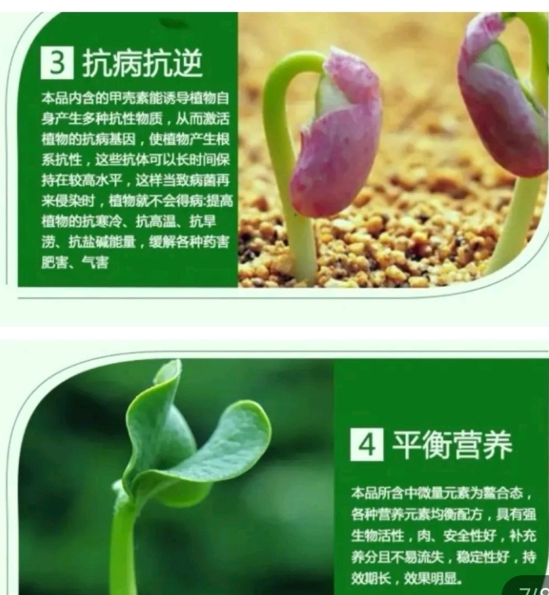 大量元素菌肥水溶肥水溶肥