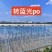 精品po膜无滴膜，蔬菜大棚专用膜质量保证