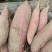 板栗薯