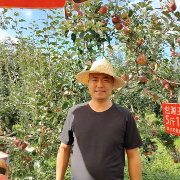 正宗大凉山盐源丑苹果糖心苹果电商一件代发