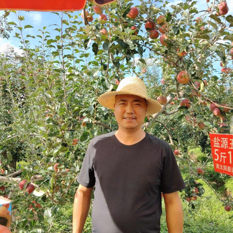 正宗大凉山盐源丑苹果糖心苹果电商一件代发