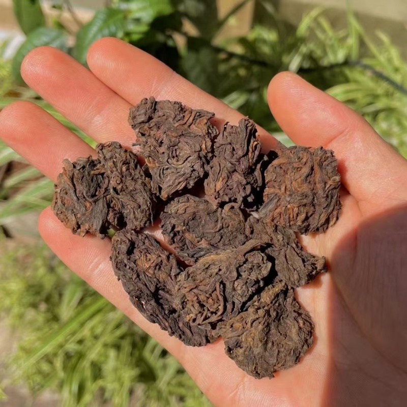 陈年老茶头