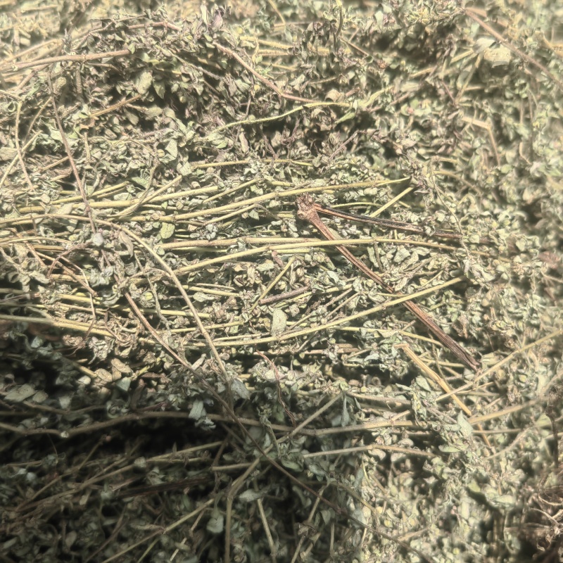 野生地锦草中药材斑地锦草花盖地血见愁红丝草奶汁浆草