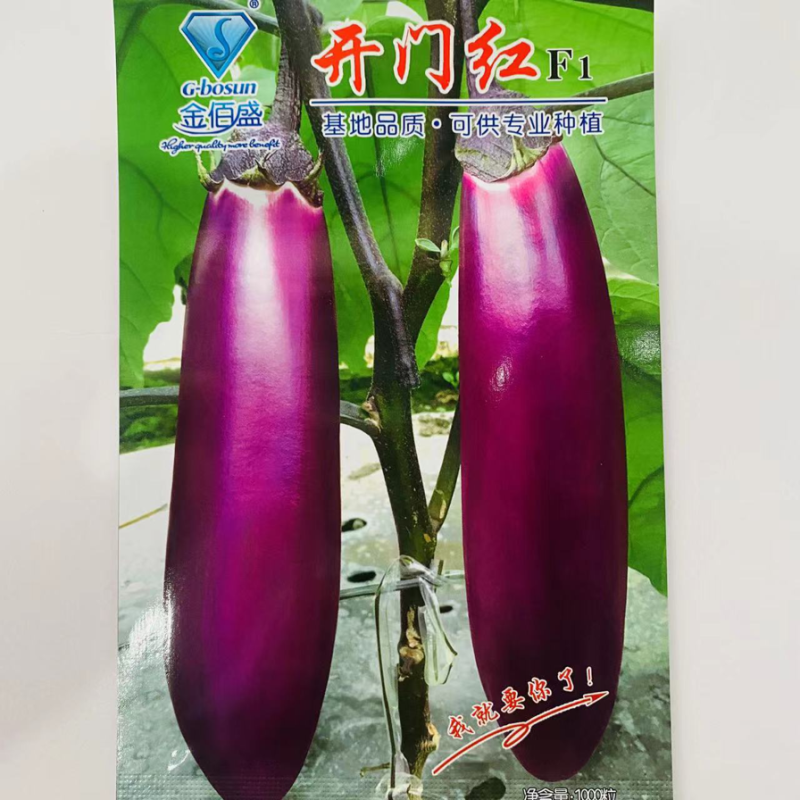 紫红茄种子开门紫茄种子杂交一代，种子
