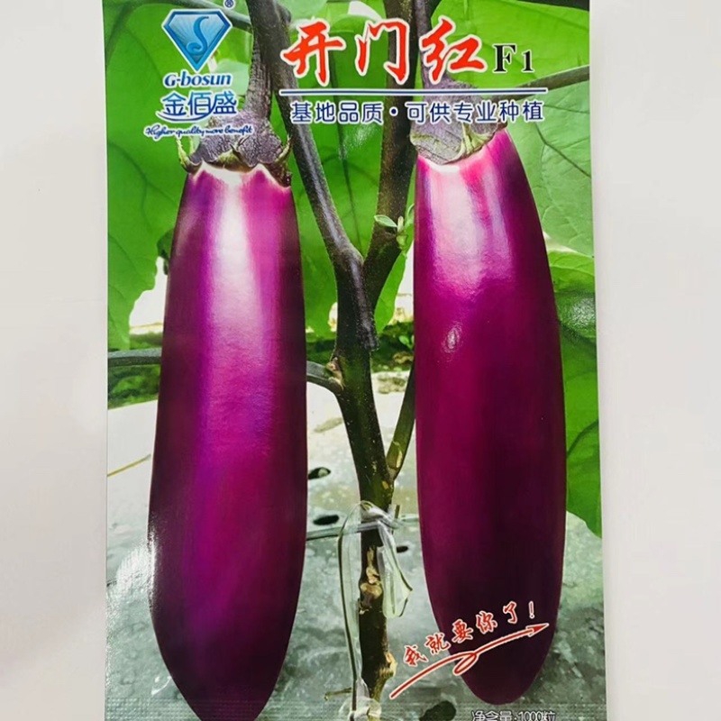 紫红茄种子开门紫茄种子杂交一代，种子