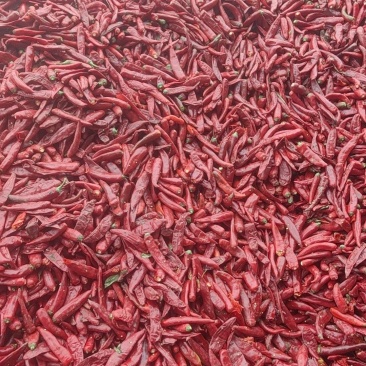 鲜辣椒，打酱椒