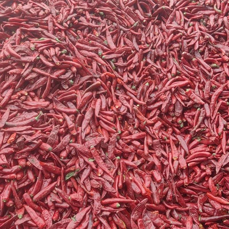 鲜辣椒，打酱椒