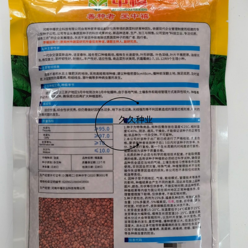 禧盈盈一代杂交菠菜种子植株生长快叶色深绿耐捆绑抗病强