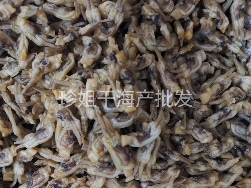 福安蛏干，干无沙甜，产地直供，量大优惠