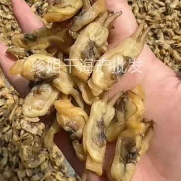 福安蛏干，干无沙甜，产地直供，量大优惠