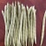 大量供应，四季豆，小金豆，每天40多吨，需要的老板联系。