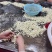 优质芡实苏芡鸡头米，大糯好吃软糯香嫩量大优惠