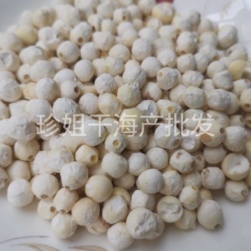优质芡实苏芡鸡头米，大糯好吃软糯香嫩量大优惠