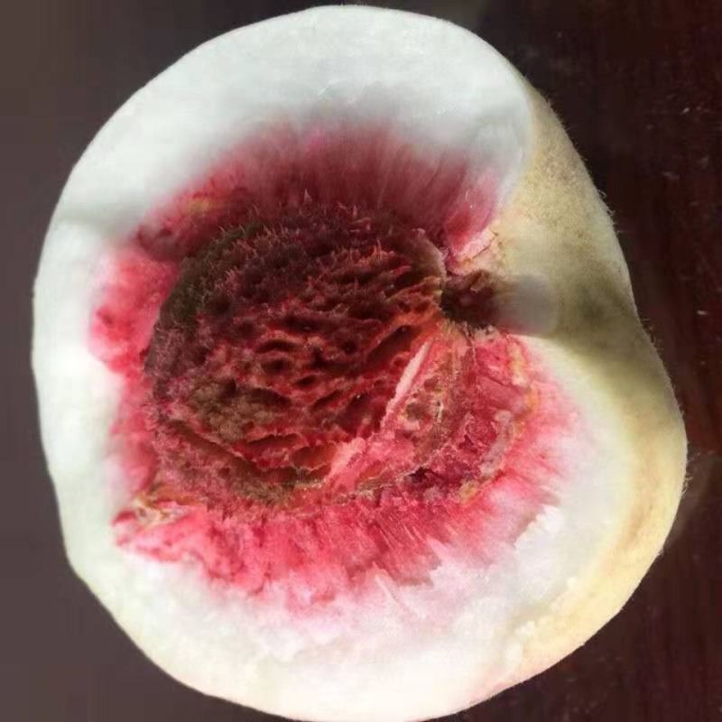 山东冰糖蜜桃子，产地一手货源，高次，通货，精品，各种规格