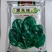 黑先锋菠菜种子黑圆叶优质杂交新品种耐抽苔耐热耐寒大田用种