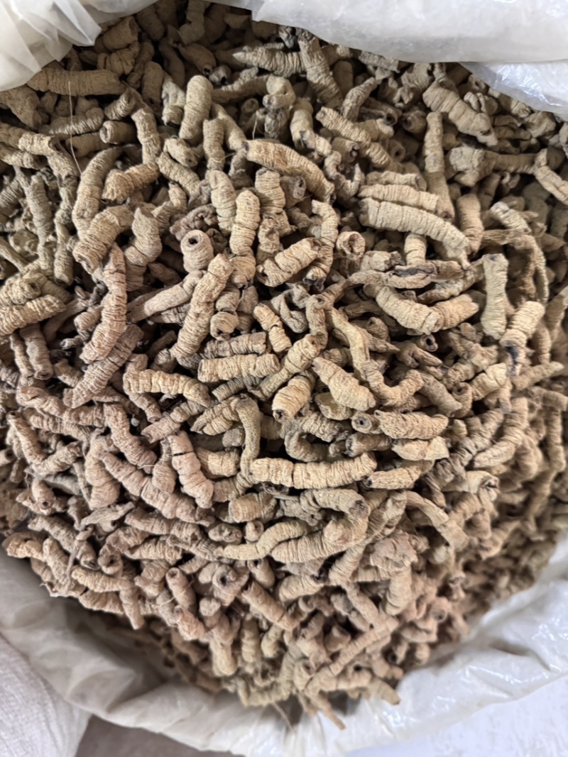 巴戟天巴戟肉盐巴戟天抽心干净特级手选