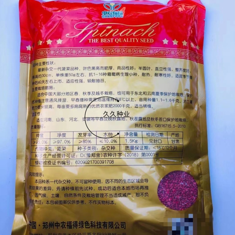 中菠109耐热耐寒菠菜种子耐抽苔直立性强半圆黑叶厚菠菜