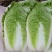 战神K5大白菜种子高抗病耐热耐寒早熟庭院阳台盆栽蔬菜种子