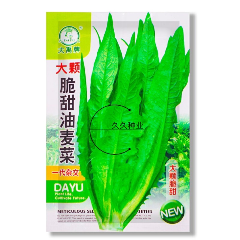 大禹大颗脆甜油麦菜种子高产抗病四季可播蔬菜种籽农家大田