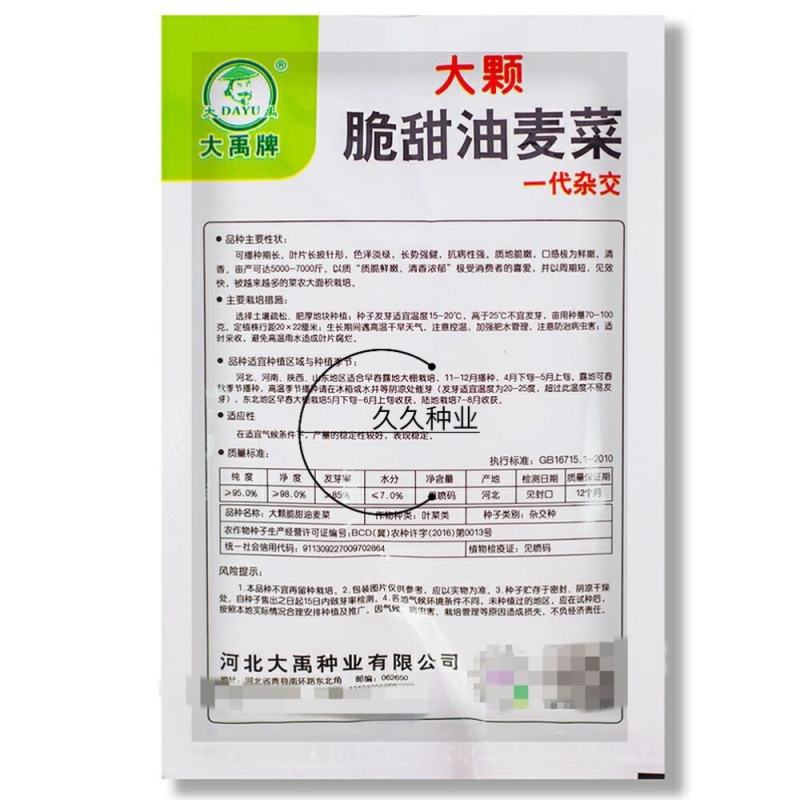 大禹大颗脆甜油麦菜种子高产抗病四季可播蔬菜种籽农家大田