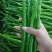 【推荐】线椒78号线椒辣椒二荆条线椒产地直发代发全国