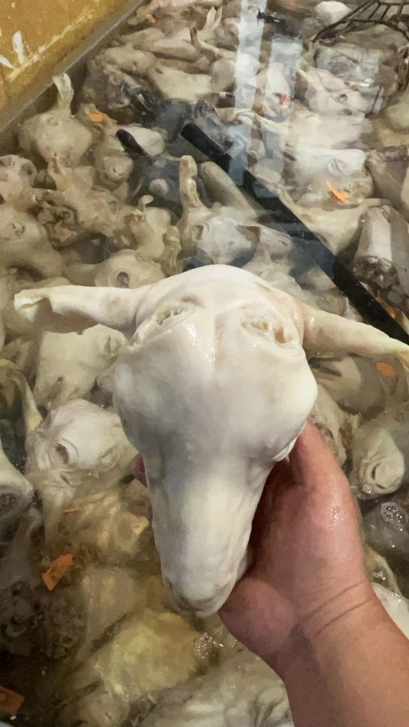 水退山羊头山羊头一手货源全国冷链发货量大质优