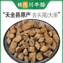 川牛膝牛夕无硫磺正品保证牛膝片批发各种中药材