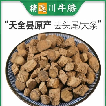 川牛膝牛夕无硫磺正品保证牛膝片批发各种中药材