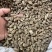 川断续断泡水精选大颗粒无硫磺熏染野生中药材