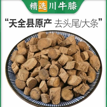 川断续断泡水精选大颗粒无硫磺熏染野生中药材