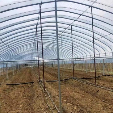 大棚配件大棚骨架弯连接现货供应