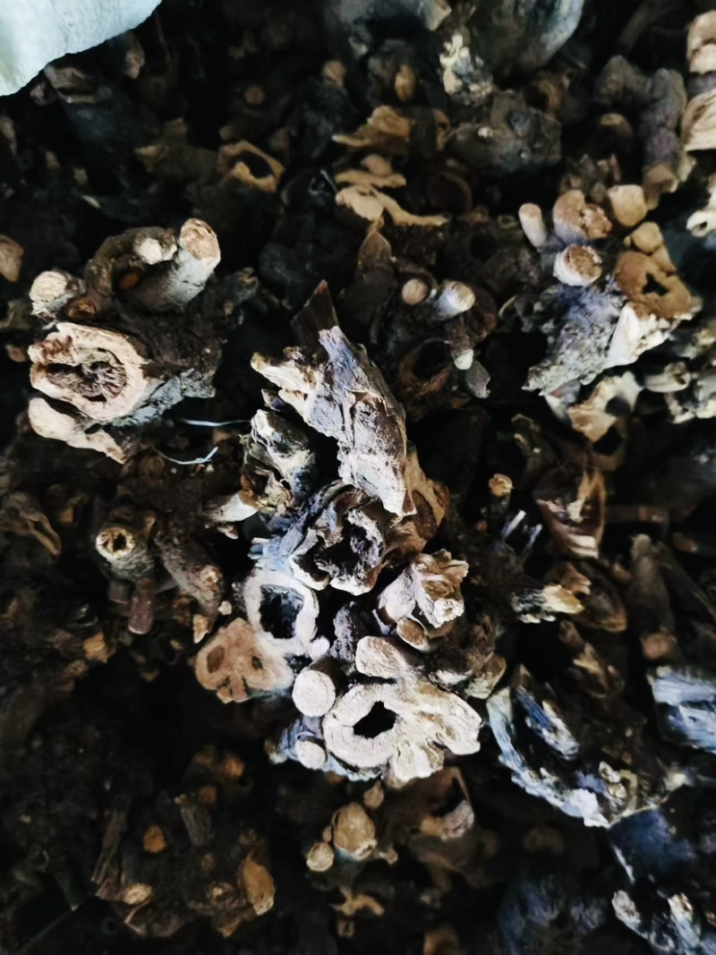 赤芍头3吨左右