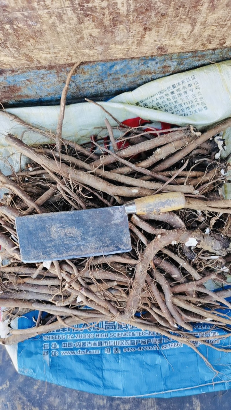 赤芍统货大量上架