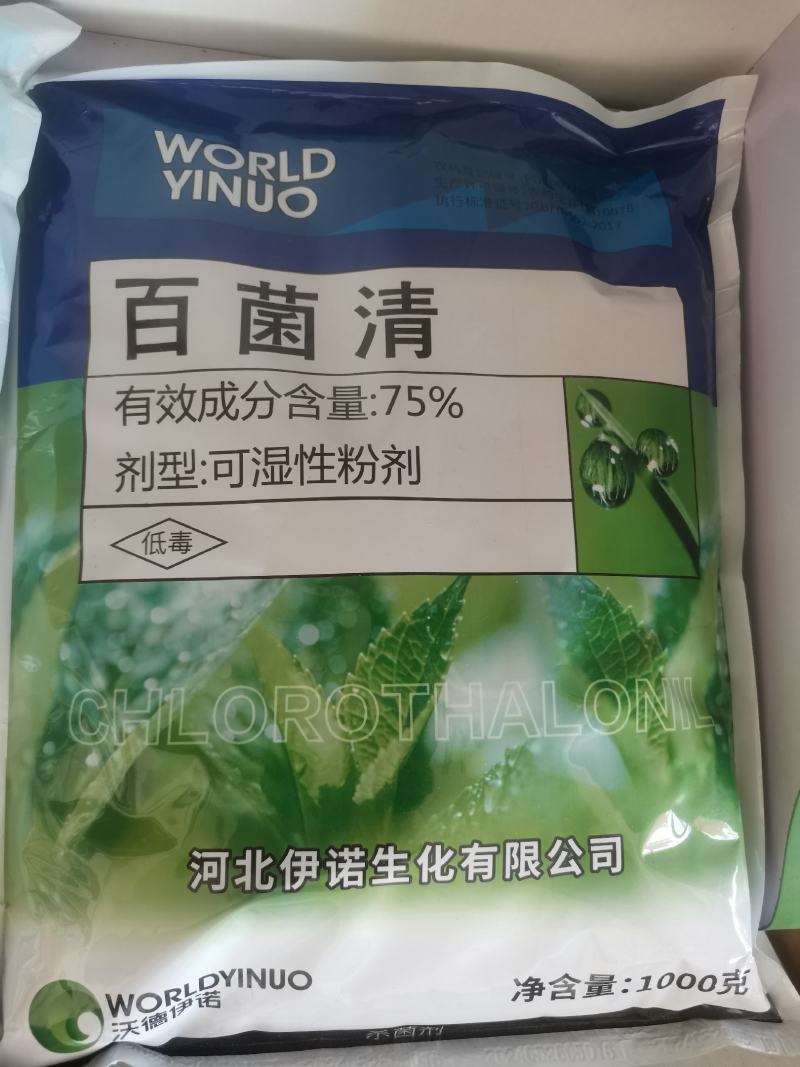 百菌清蓝粉杀菌剂蔬菜果蔬花卉霜霉病白粉病轮纹病褐斑病疫病