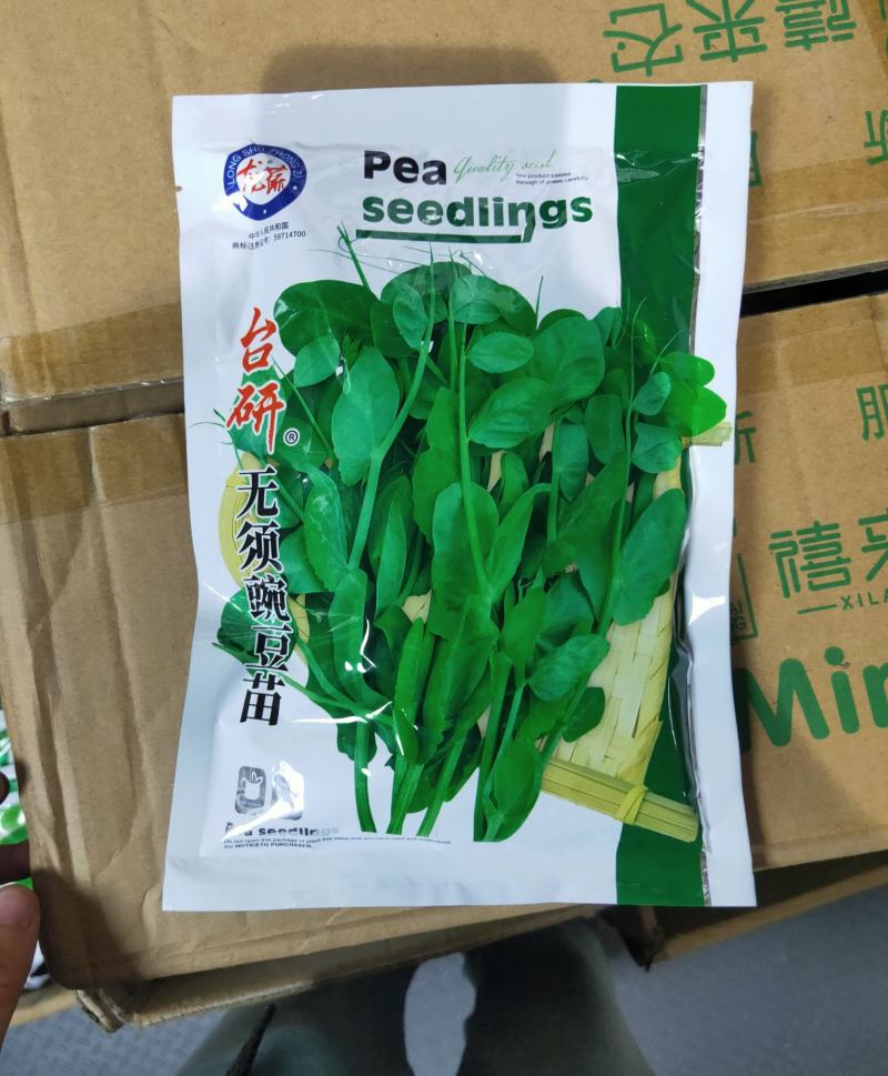 无须豌豆苗种子农家菜园阳台秋冬季节播种专吃尖尖芽苗菜种子