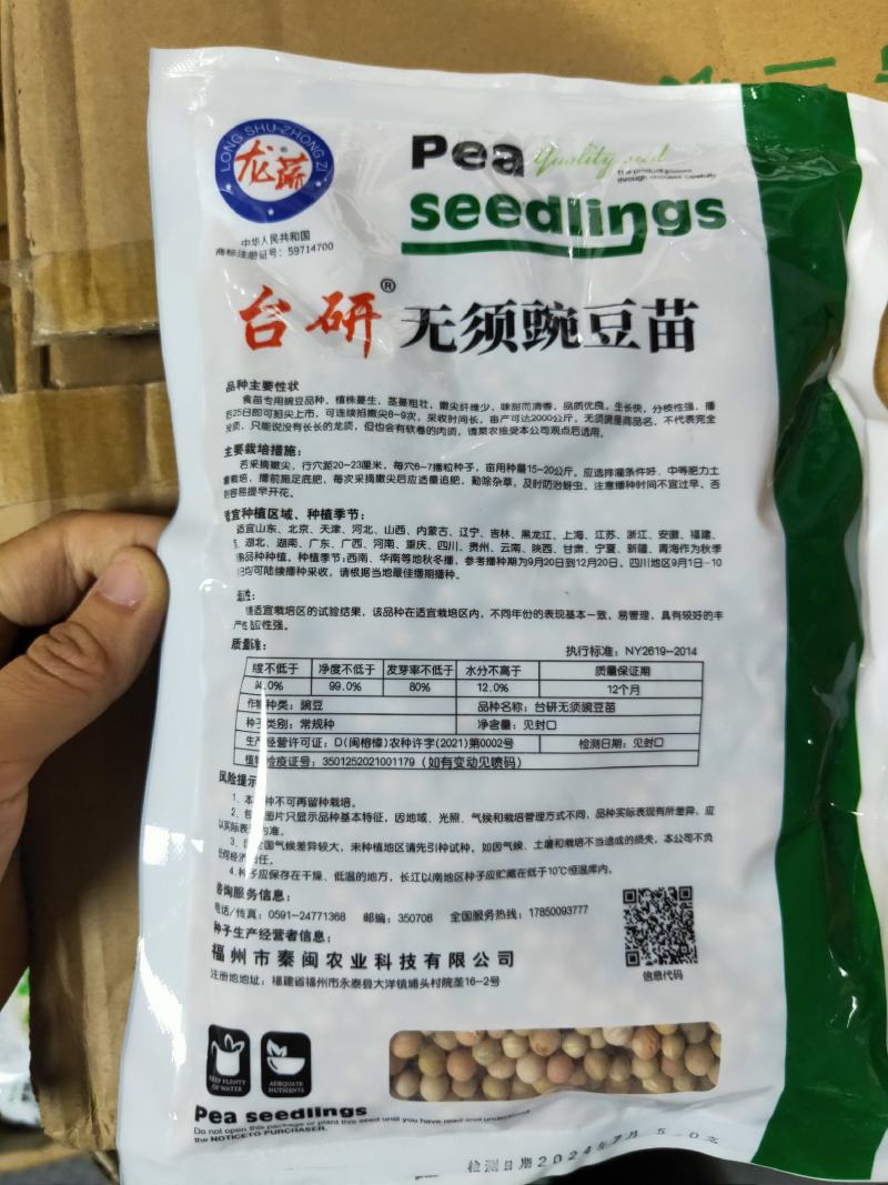 无须豌豆苗种子农家菜园阳台秋冬季节播种专吃尖尖芽苗菜种子