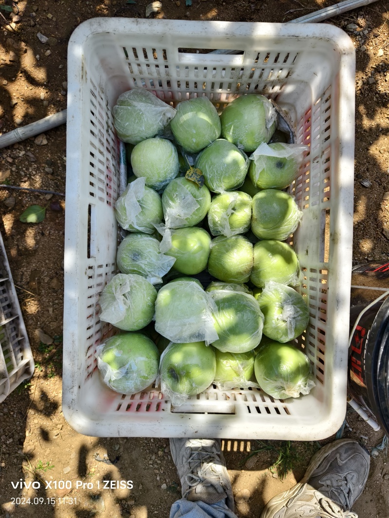 宝山明月苹果🍎80#85#以上